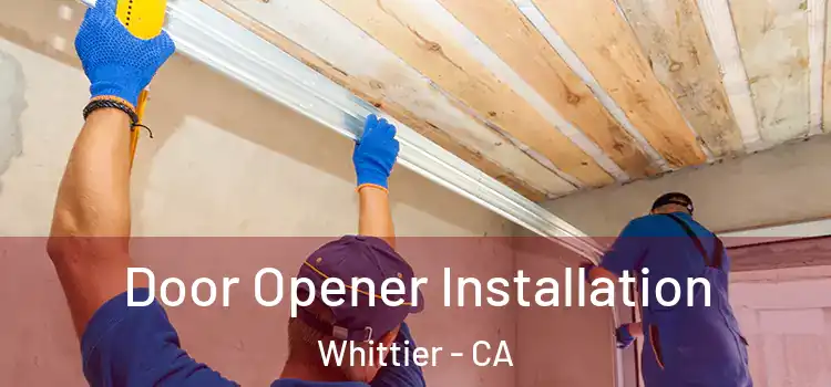  Door Opener Installation Whittier - CA