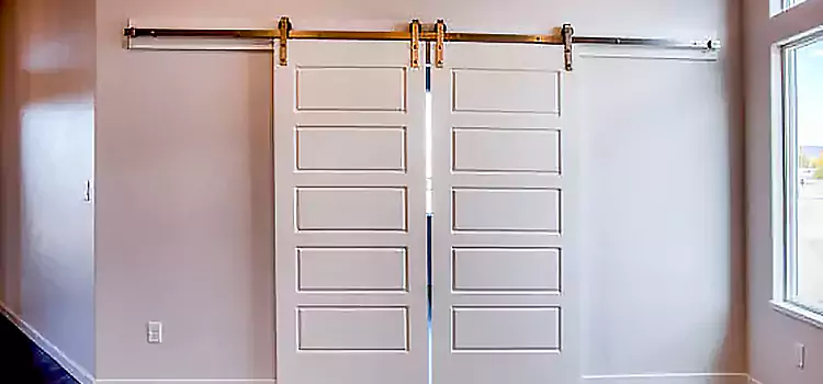 Glass Barn Door with Installation Hardware Kit Whittier