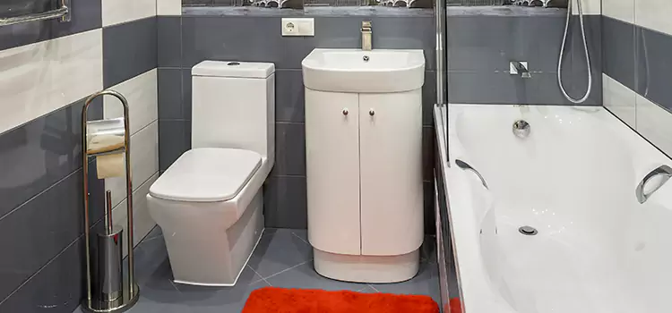 Hansgrohe Shaving Mirror Whittier