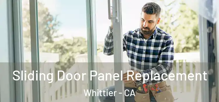  Sliding Door Panel Replacement Whittier - CA